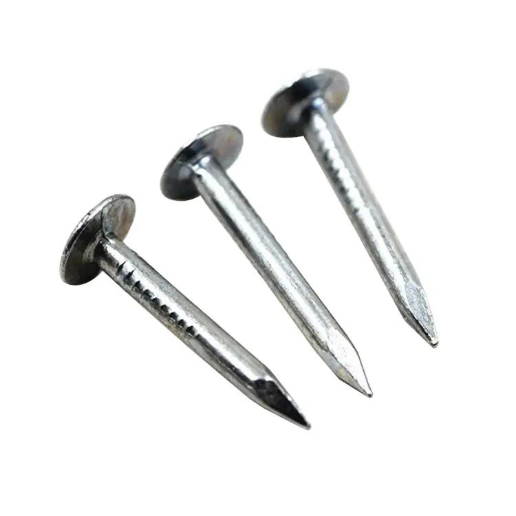 Smooth Electric Galvanized Roofing Nail Smooth Electric Galvanized Roofing Nail